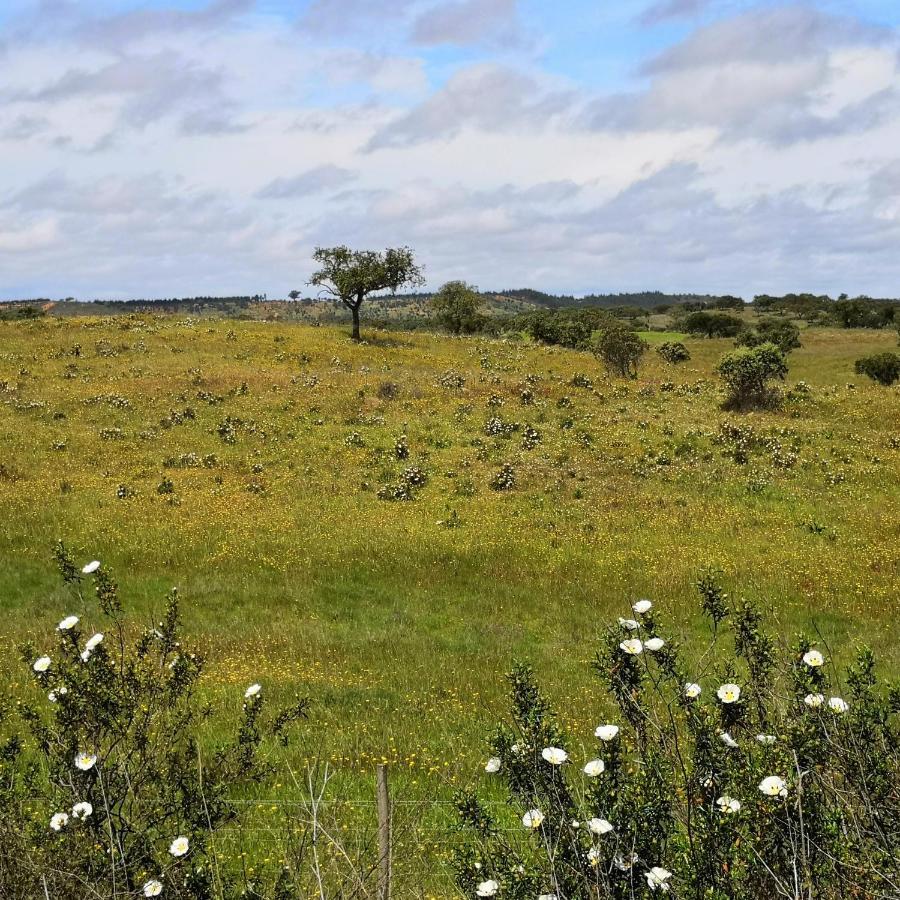 Отель Refugio Do Bem Estar Cercal do Alentejo Экстерьер фото